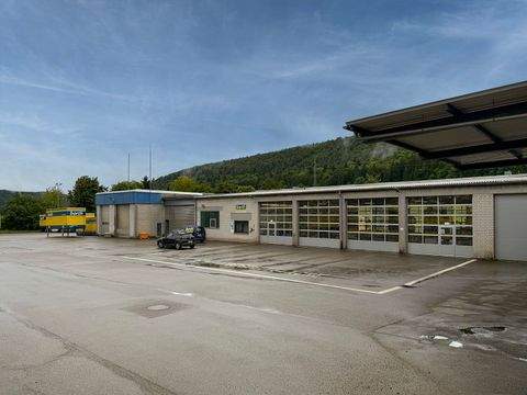 Burladingen Halle, Burladingen Hallenfläche