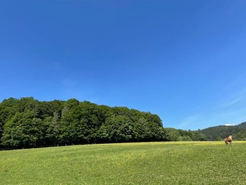 Denzlingen Bauernhöfe, Landwirtschaft, Denzlingen Forstwirtschaft