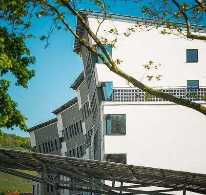 Klimahäuser Giebelseite