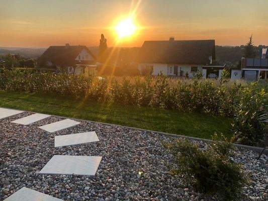 PHOTO-2025-05-20-22-20-21