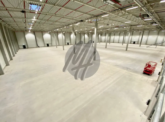 INFOS UNTER: 06171-586000