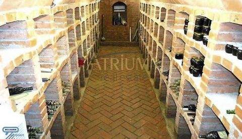 Schrattenberg Renditeobjekte, Mehrfamilienhäuser, Geschäftshäuser, Kapitalanlage