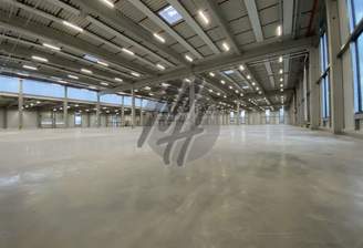 INFOS UNTER: 06171-586000