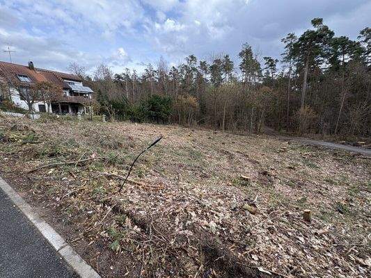 Baugrundstück Röttenbach 015