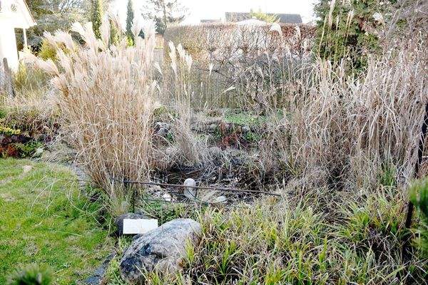 18 ... mit Biotop.JPG