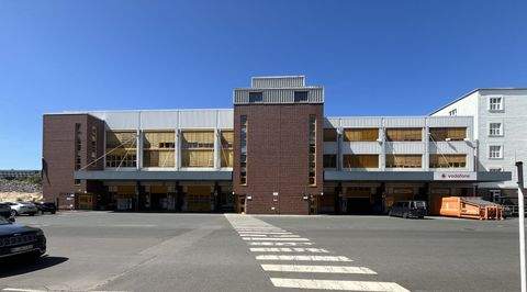 Berlin Halle, Berlin Hallenfläche