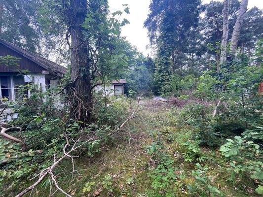 hinterer Bungalow.jpg