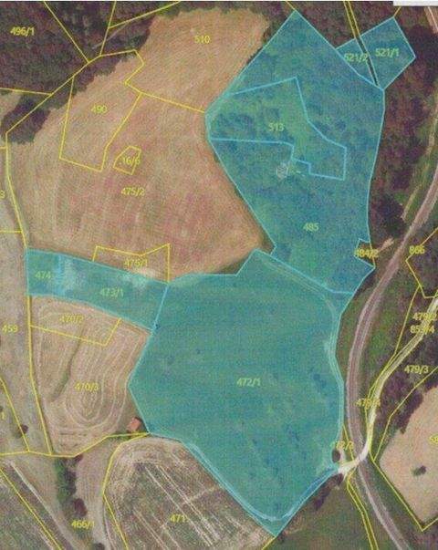 Tautendorf bei Fürstenfeld Bauernhöfe, Landwirtschaft, Tautendorf bei Fürstenfeld Forstwirtschaft