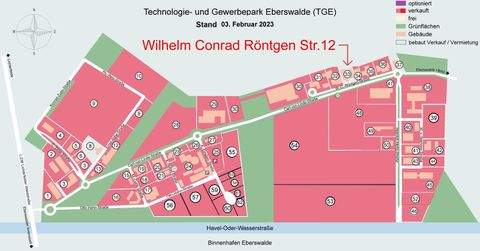Eberswalde Halle, Eberswalde Hallenfläche