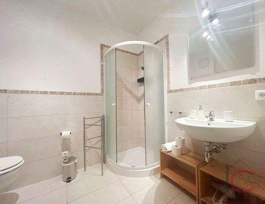 Gartenwohnung Bad Kleinkirchheim (20)