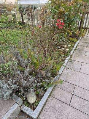 Der Weg zu Ihrem neuen Zuhause...