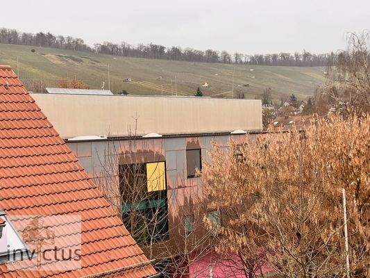 Blick auf die Weinberge