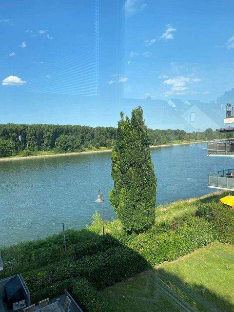 Bonn Wohnungen, Bonn Wohnung mieten