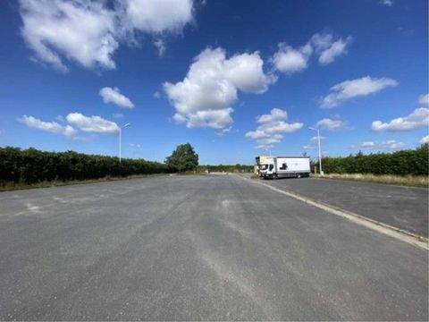 Broderstorf Halle, Broderstorf Hallenfläche