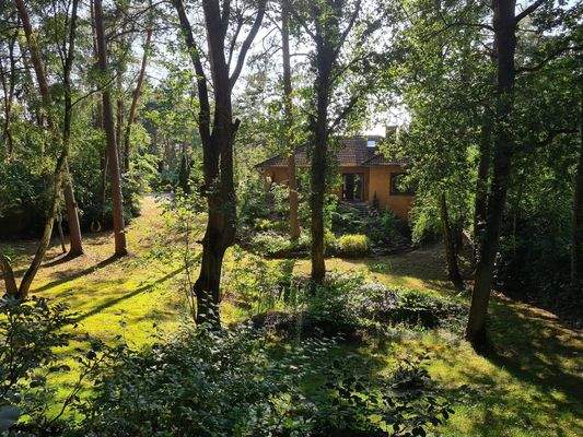 Waldgarten mit Teich und Bäumen