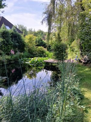 SOMMERFOTOS 2024