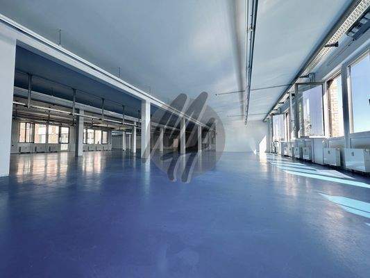 INFOS UNTER: 06171-586000