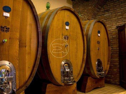 Herrliches Anwesen | Arezzo