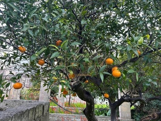 Antike Unterkunft mit Garten