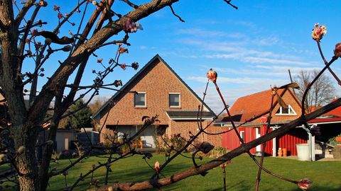 Parchim Häuser, Parchim Haus kaufen