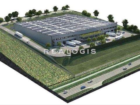 Bad Vilbel Halle, Bad Vilbel Hallenfläche