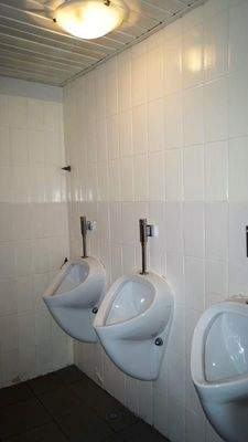 Toiletten