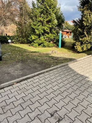 IMG_13