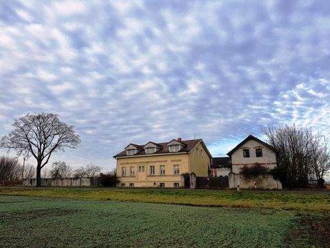 Schönefeld Häuser, Schönefeld Haus kaufen