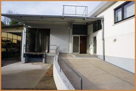 Zell am Harmersbach Halle, Zell am Harmersbach Hallenfläche