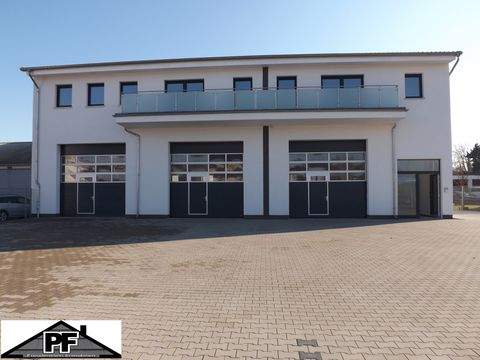 Wolfenbüttel Halle, Wolfenbüttel Hallenfläche