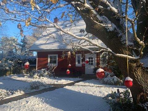 Wieck a. Darß Häuser, Wieck a. Darß Haus kaufen