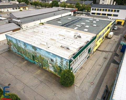 Feldkirchen in Kärnten Halle, Feldkirchen in Kärnten Hallenfläche