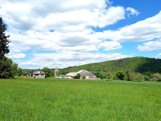 Landwitschaftlicher Betrieb