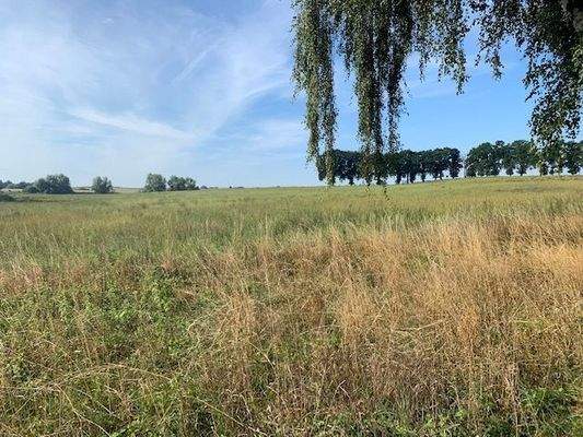 Blick in die Umgebung