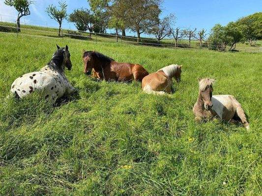 WhatsApp Image 2025-12-16 at 11.24.38.jpeg