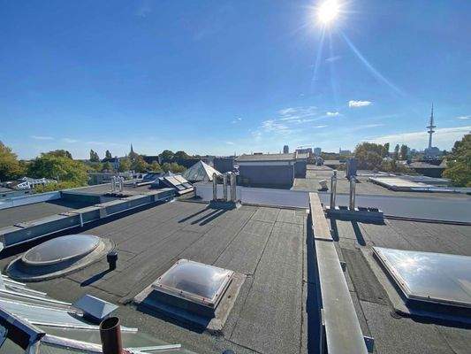 Dach Terrassenbasis.jpg