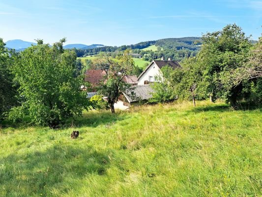 Garten & Aussicht I