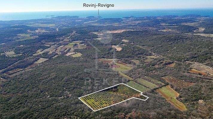 1,6 km vom Meer entfernt