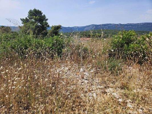 Baugrundstück in Traumlage direkt am Meer auf Hvar