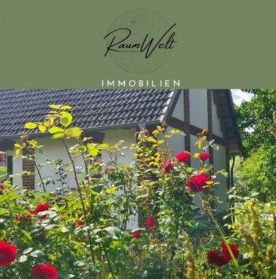 Startbild mit Logo 02.jpg