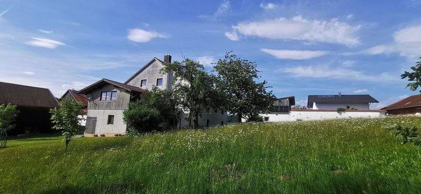 Naturbelassener Garten