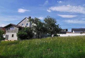 Naturbelassener Garten