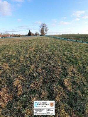 4.2 Richtung Süden.jpg