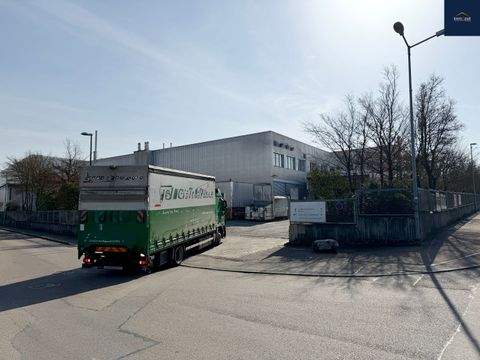 Markgröningen Halle, Markgröningen Hallenfläche