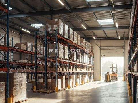 Filderstadt Halle, Filderstadt Hallenfläche