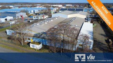 Lilienthal Halle, Lilienthal Hallenfläche