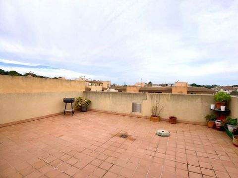 Cala Ratjada Wohnungen, Cala Ratjada Wohnung mieten