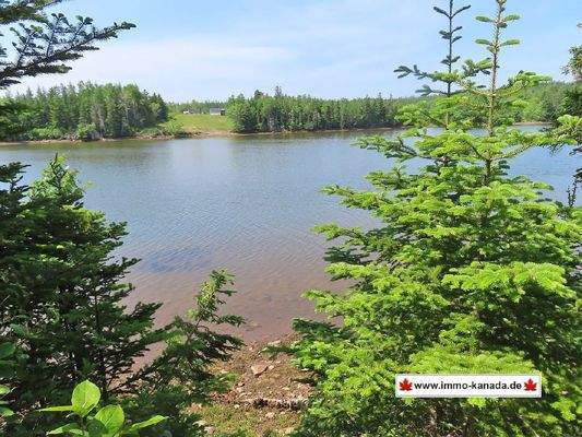 Cape Breton - Cleveland - Wunderschönes Fluss-Ufer