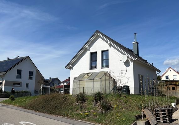 IMG_6537.jpg