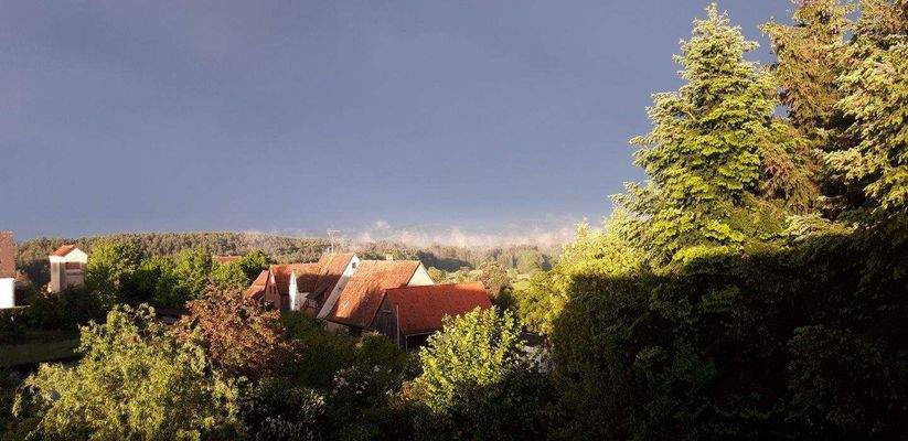 Stimmung Ausblick.jpg